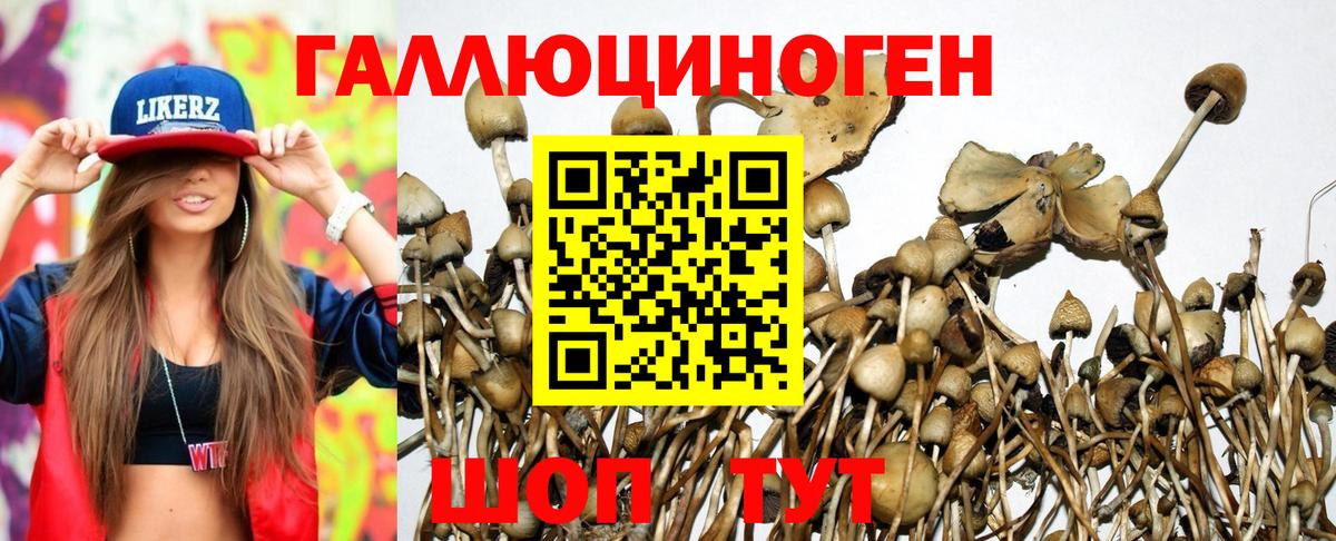 Галлюциногенные грибы Cubensis  Вход с VPN  Белореченск 